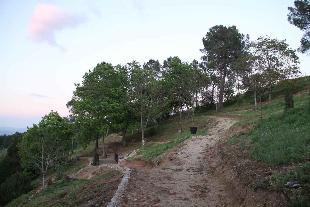 Camping Lamego Douro Valley 외부 사진